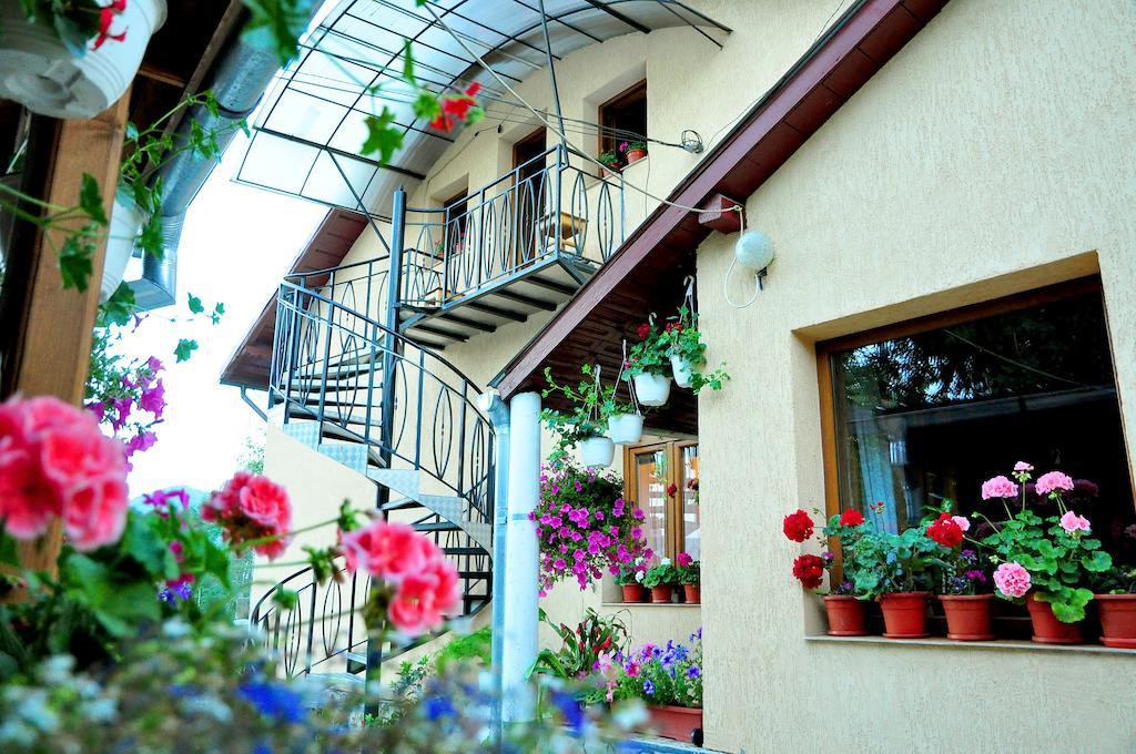 Hotel Casa Maria Gura Humorului Zewnętrze zdjęcie