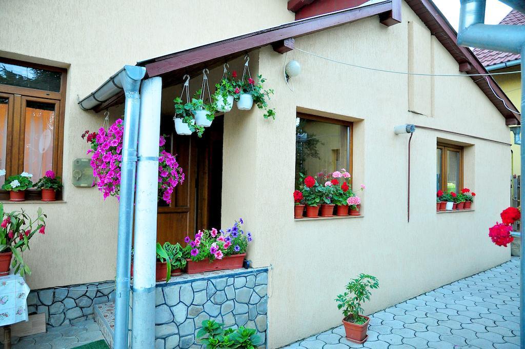 Hotel Casa Maria Gura Humorului Zewnętrze zdjęcie