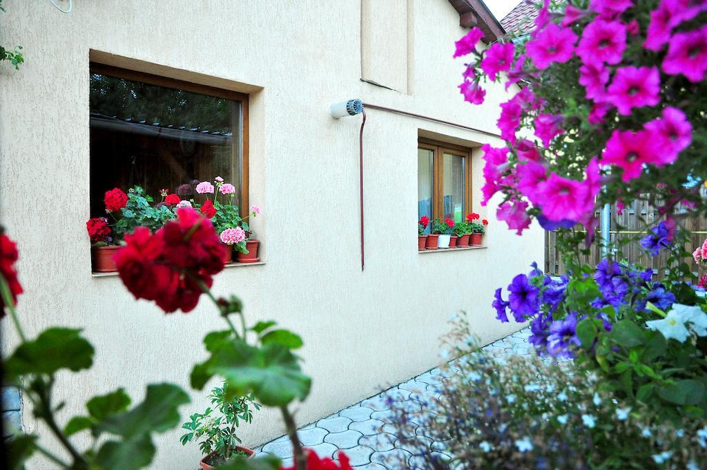 Hotel Casa Maria Gura Humorului Zewnętrze zdjęcie