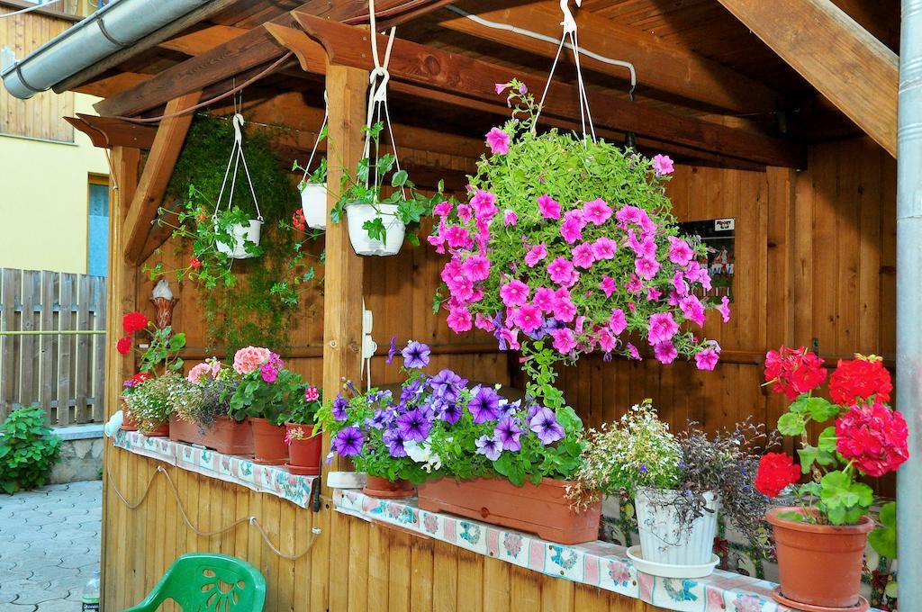 Hotel Casa Maria Gura Humorului Zewnętrze zdjęcie